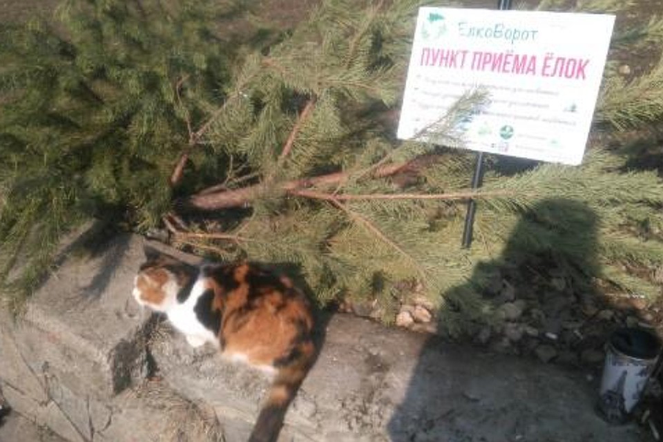 Главные Символы Нового Года Главные Символы Нового Года