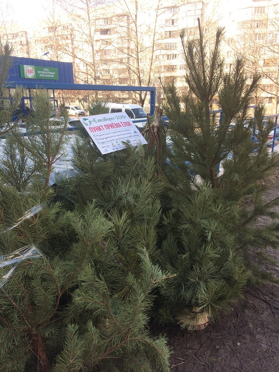 Главные Символы Нового Года Главные Символы Нового Года