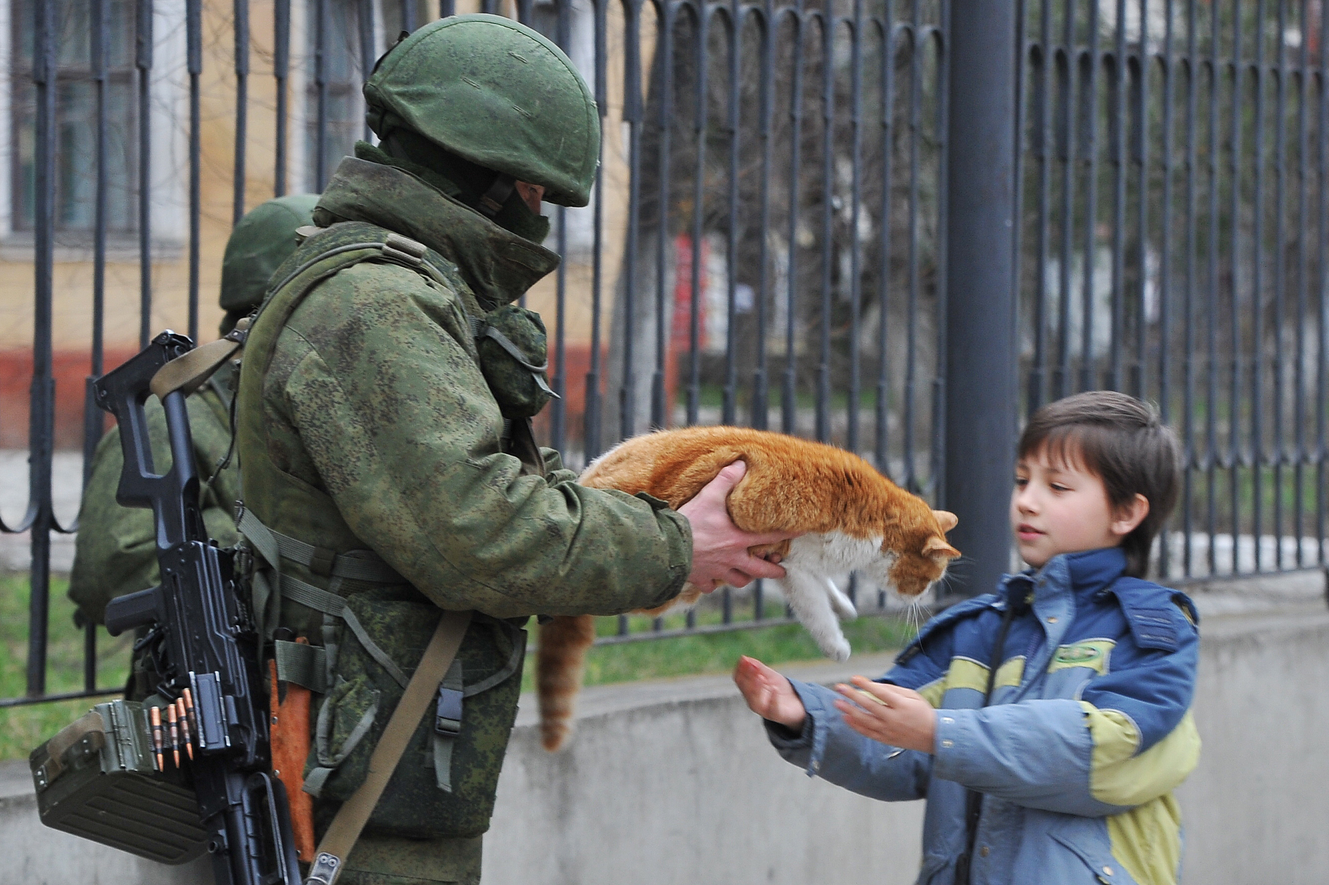 Коты Крыма Фото